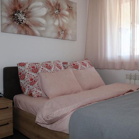 Apartman Mila 21 Belgrado Esterno foto