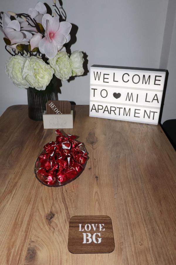Apartman Mila 21 Belgrado Esterno foto